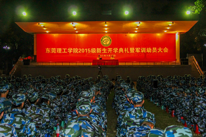 报告全景