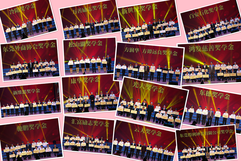 各类企业奖学金获得者