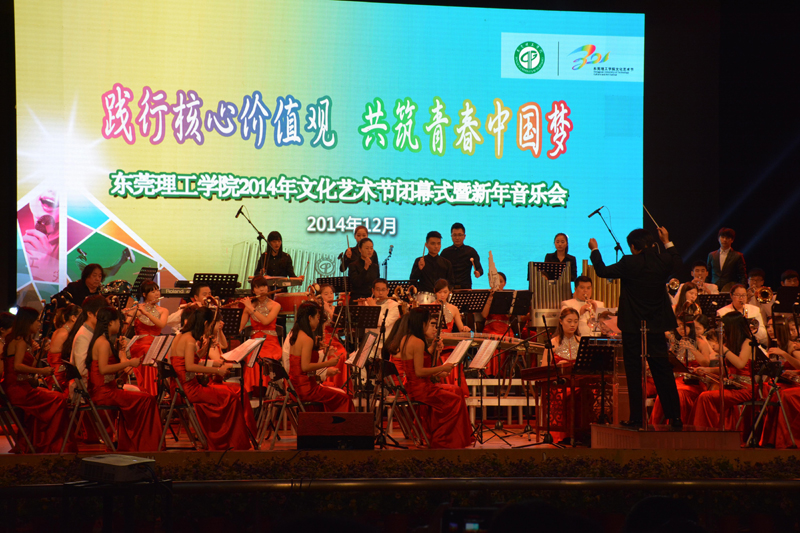 新年音乐会演出现场-800