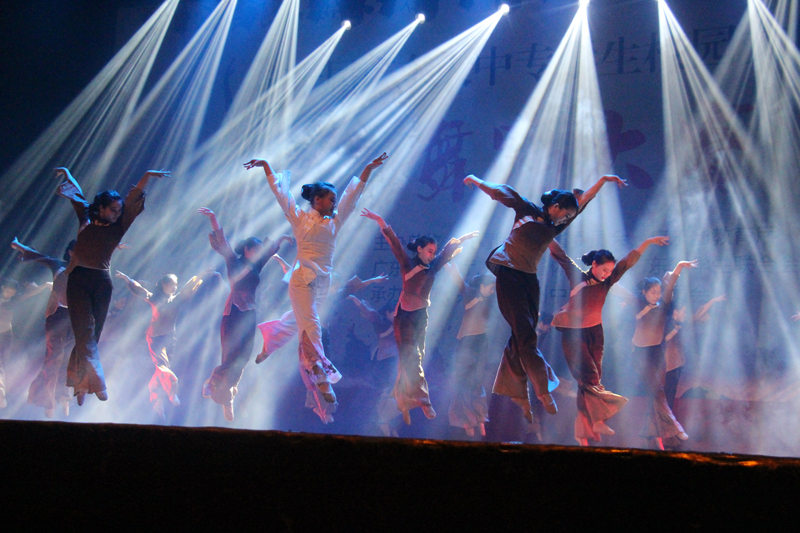 群舞《自梳女》获得三等奖-800